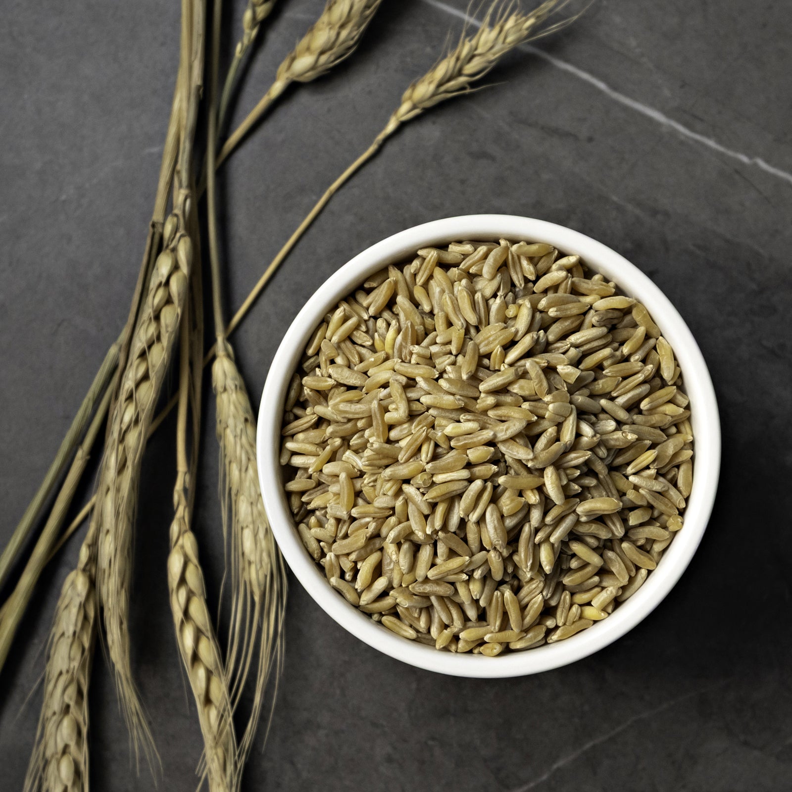 White bowl filled with khoresian wheat grains on a dark surface with wheat stalks.