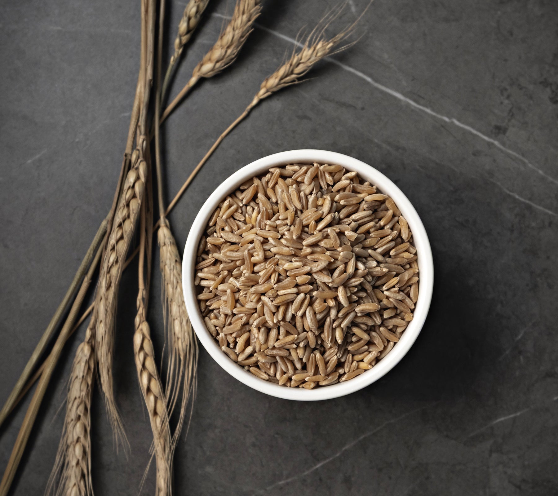 White bowl filled with khorasan wheat grains on a dark stone surface