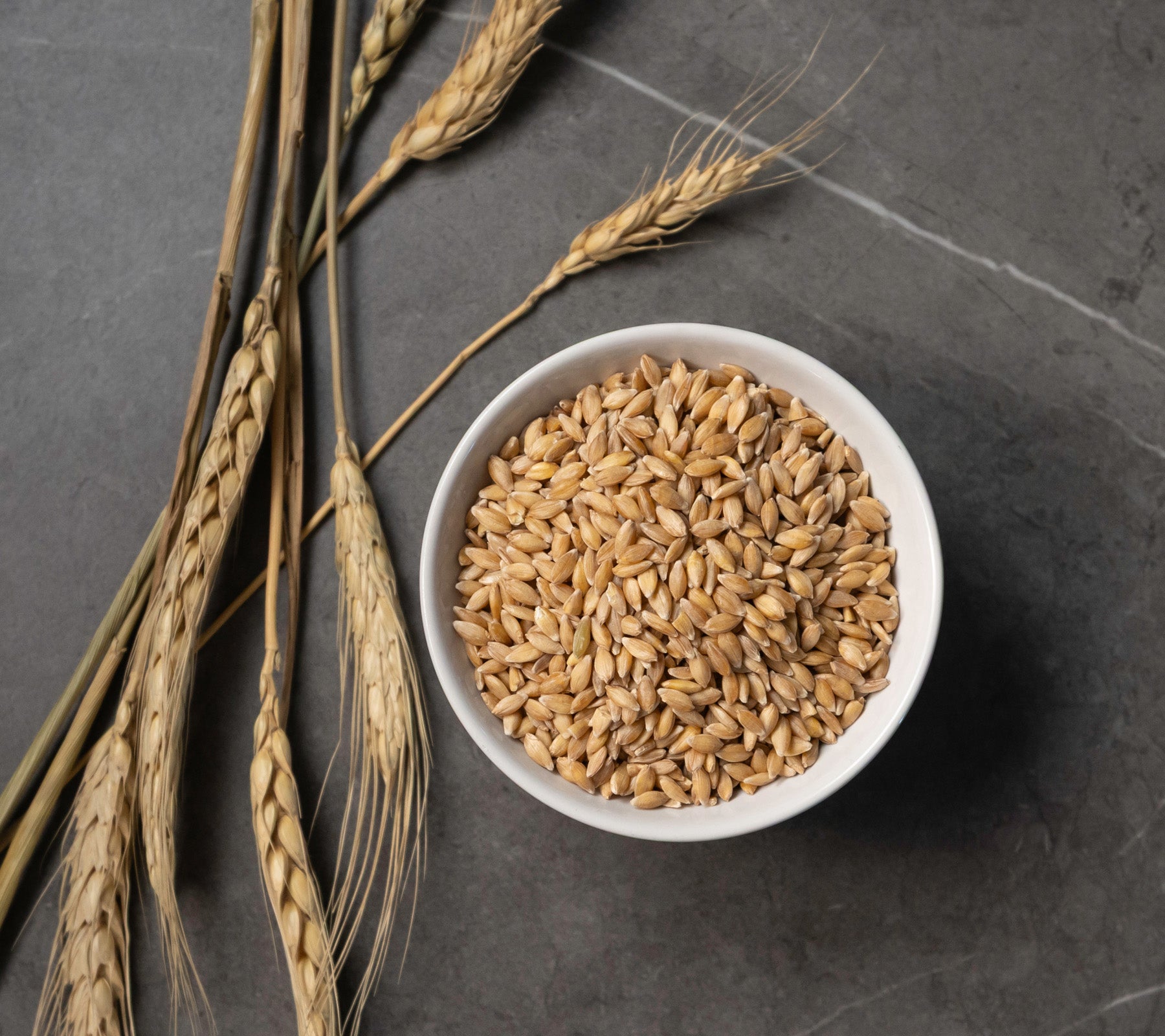 White bowl filled with einkorn wheat grains on a dark stone surface