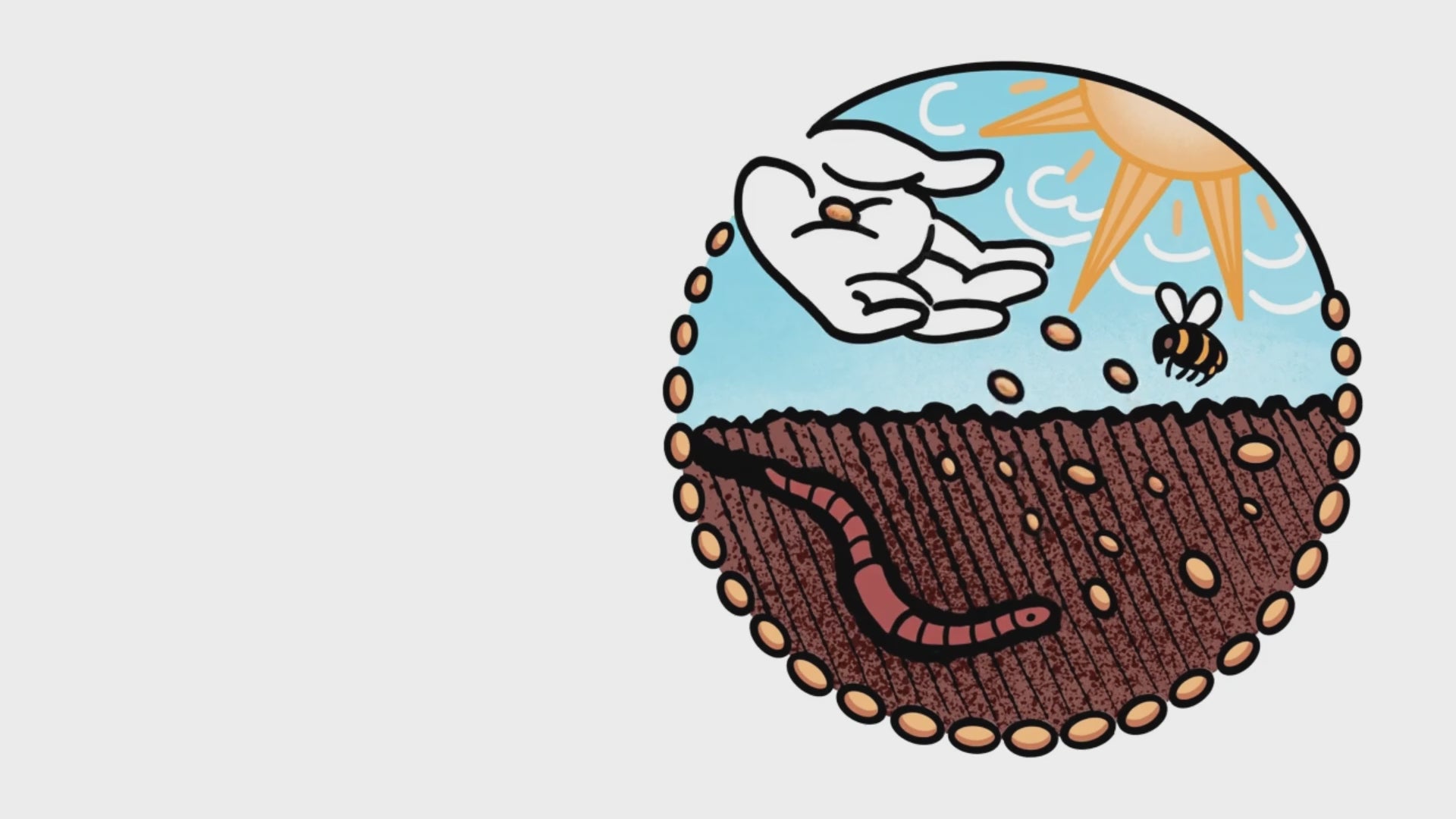Animation of growing a cookie